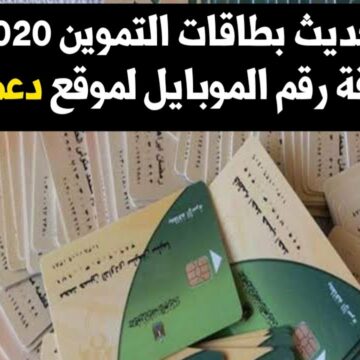 تحديث بطاقة التموين 2020 وإضافة رقم هاتف عبر رابط موقع دعم مصر التابع لوزارة الإنتاج الحربي