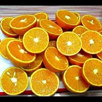 طريقة تخزين البرتقال في الفريزر من أسهل طرق حفظ البرتقال بدون تغيير في طعمه ولونه لمدة سنة