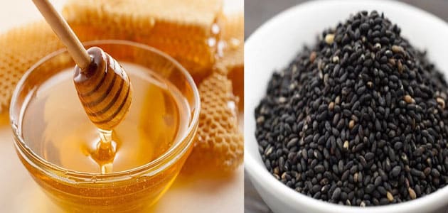 فوائد حبة البركة مع العسل الخلطة السحرية لحل كل مشاكل الجسم والحفاظ على الصحة