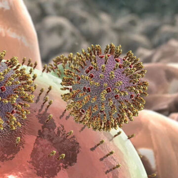 كيف تهاجم الفيروسات جسم الانسان ؟
