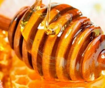 فوائد العسل الأبيض المتعددة للجسم وطريقة التعرف على النوع الطبيعي من المغشوش