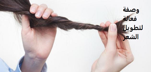 اقوي وصفة فعالة لتطويل الشعر بنبات صحراوي السدر لأجل تكثيف الشعر وتنعيمه في أسرع وقت