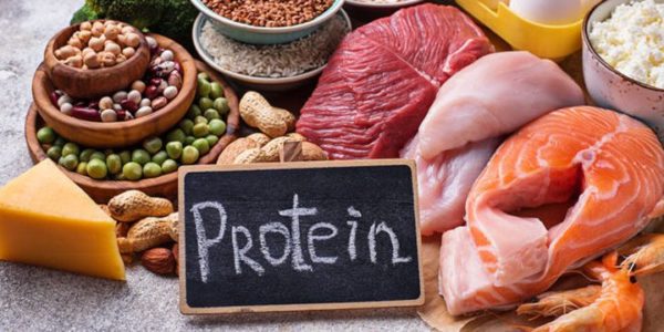 أهمية البروتين في إنقاص الوزن