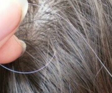 التخلص من شيب الشعر بطرق طبيعية من منزلك بدون البحث عن الصبغات الخارجية