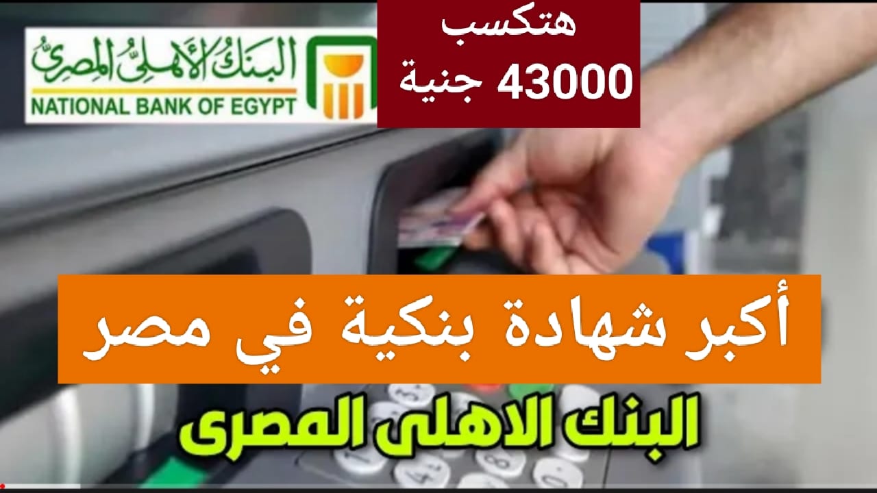 هتكسب 43000 جنية.. شهادة البنك الاهلي المصري الجديدة الأكبر فائدة بين البنوك سارع للشراء