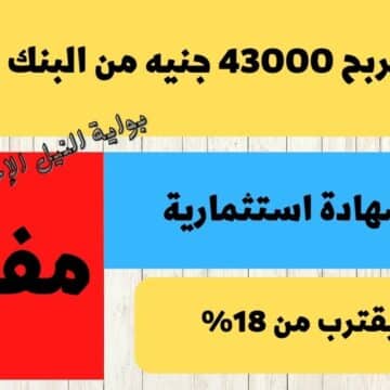 مكسبك 43000 جنيه.. البنك الأهلي المصري يُصدر شهادة استثمار بعائد يقترب من هذه النسبة