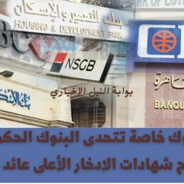 بداية السباق .. 4 بنوك خاصة تتحدى البنوك الحكومية وتطرح شهادات الادخار الأعلى عائد بمصر