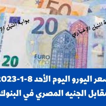 سعر اليورو اليوم الأحد 8-1-2023 مقابل الجنيه المصري في البنوك المصرية وأزمة في سعره في السوق السوداء