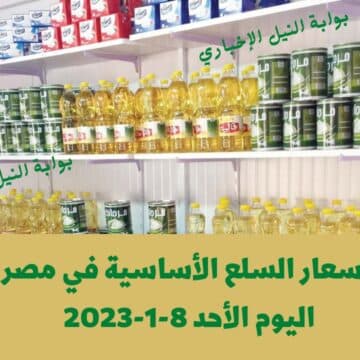أسعار السلع الأساسية في مصر اليوم الأحد 8-1-2023 كم سعر كيلو الأرز والسكر وزجاجة الزيت والدقيق