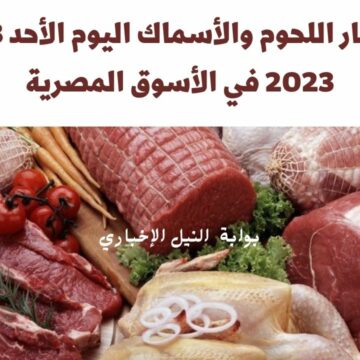 أسعار اللحوم والأسماك اليوم الأحد 8-1-2023 في الأسوق المصرية البلدية والمجمدة بأنواعها المختلفة