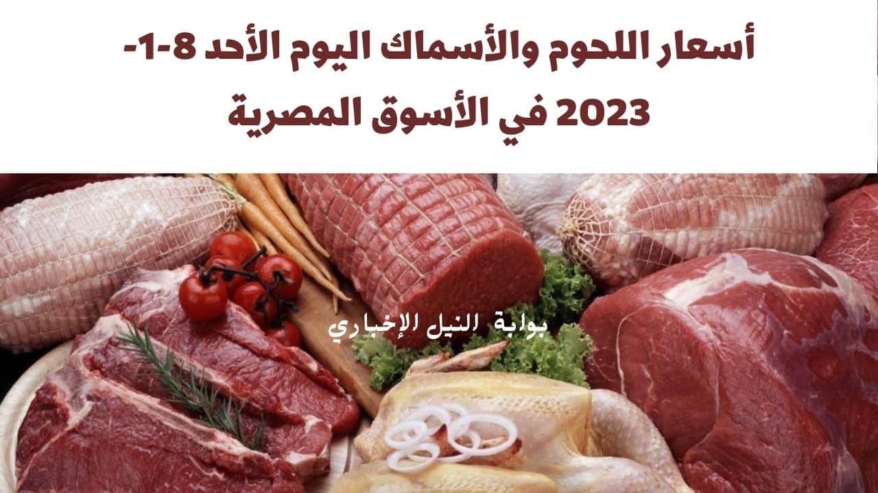أسعار اللحوم والأسماك اليوم الأحد 8-1-2023 في الأسوق المصرية البلدية والمجمدة بأنواعها المختلفة