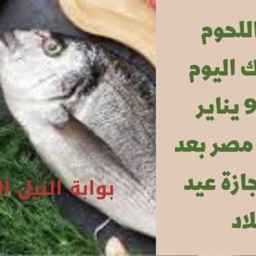 أسعار اللحوم والأسماك اليوم الاثنين 9 يناير 2023 في مصر بعد انقضاء أجازة عيد الميلاد هل تنخفض