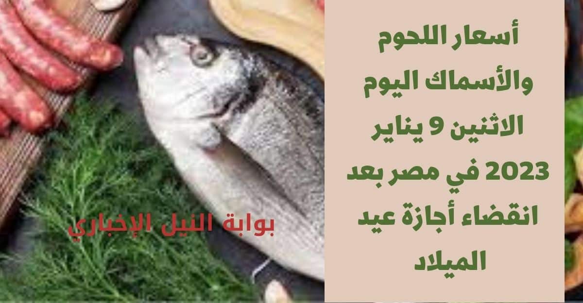 أسعار اللحوم والأسماك اليوم الاثنين 9 يناير 2023 في مصر بعد انقضاء أجازة عيد الميلاد هل تنخفض