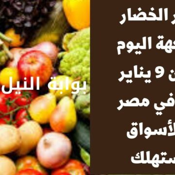 أسعار الخضار والفاكهة اليوم الاثنين 9 يناير 2023 في مصر في الأسواق للمستهلك بكم الطماطم والبطاطس