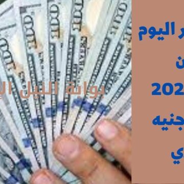 سعر الدولار اليوم الاثنين 9 يناير 2023 مقابل الجنيه المصري وحقيقة التوقعات بشأن ارتفاعه لـ 30 جنيه