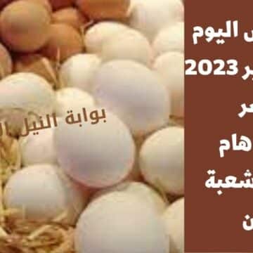 أسعار البيض اليوم الاثنين 9 يناير 2023 في مصر وتوضيح هام من رئيس شعبة الدواجن عن ارتفاع الأسعار