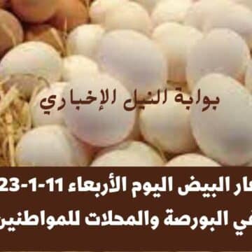 أسعار البيض اليوم الأربعاء 11-1-2023 في البورصة والمحلات للمواطنين في مختلف محافظات مصر