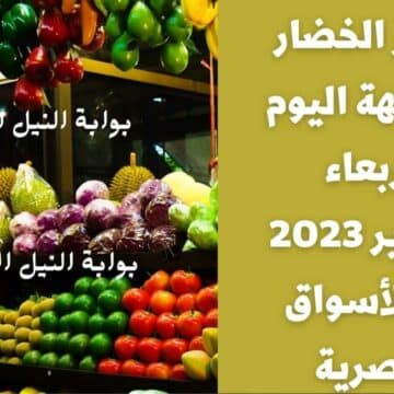 أسعار الخضار والفاكهة اليوم الأربعاء 11-1-2023 في الأسواق المصرية وسط ارتفاع في سعر الخضروات