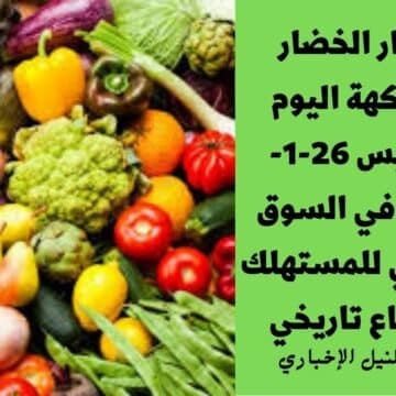 أسعار الخضار والفاكهة اليوم الخميس 26-1-2023 في السوق المصري للمستهلك وارتفاع تاريخي