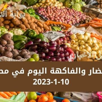 أسعار الخضار والفاكهة اليوم في مصر الثلاثاء 10-1-2023 كم سعر الطماطم والكرنب والتفاح والموز