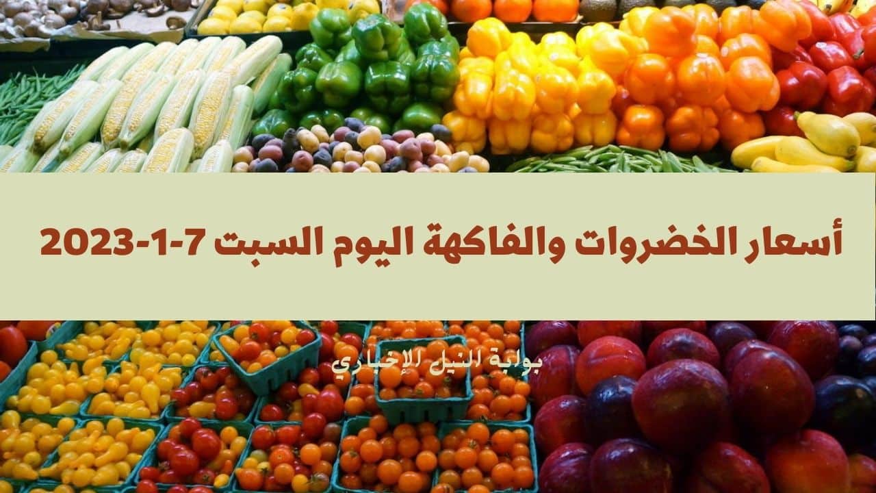 أسعار الخضروات والفاكهة اليوم السبت 7-1-2023 في الأسواق المحلية وارتفاع ملحوظ في سعر التفاح والبصل