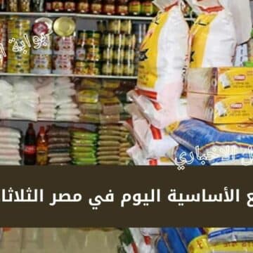 أسعار السلع الأساسية اليوم في مصر الثلاثاء 10-1-2023 سعر زجاجة الزيت وكيلو السكر والأرز