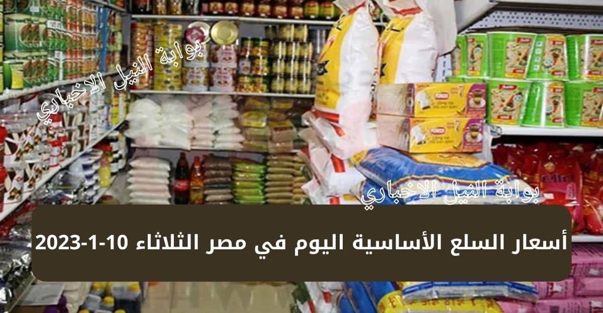 أسعار السلع الأساسية اليوم في مصر الثلاثاء 10-1-2023 سعر زجاجة الزيت وكيلو السكر والأرز