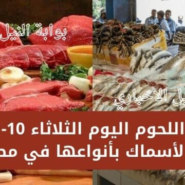 أسعار اللحوم اليوم الثلاثاء 10-1-2023 والأسماك بأنواعها في مصر بعد أن سجل كيلو اللحم 220 جنيه
