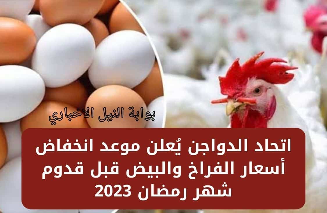 خبر مُفرح للمواطنين .. اتحاد الدواجن يُعلن موعد انخفاض أسعار الفراخ والبيض قبل قدوم شهر رمضان 2023