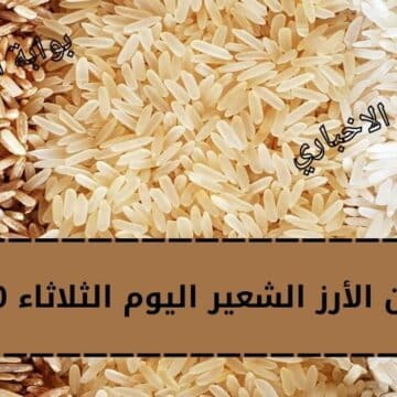 سعر الطن الأرز الشعير اليوم الثلاثاء 10-1-2023 والسبب وراء ارتفاع أسعار الأرز في مصر هذا العام