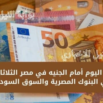 سعر اليورو اليوم أمام الجنيه في مصر الثلاثاء 10-1-2023 في البنوك المصرية والسوق السوداء في حالة تذبذب