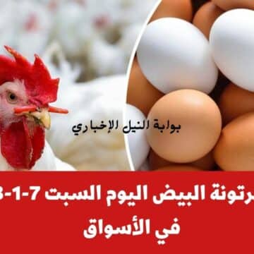 أسعار البيض اليوم السبت 7-1-2023 في البورصة || سعر كرتونة البيض الأحمر والأبيض يقترب من 100 جنيه