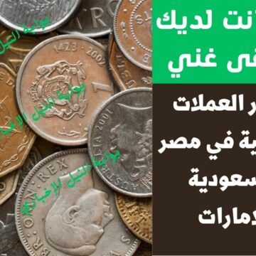 بتوصل آلاف .. أسعار العملات المعدنية في مصر والسعودية والإمارات إذا كانت لديك هتبقى غني