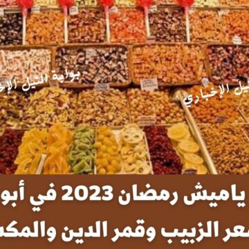 أسعار ياميش رمضان 2023 في أبو عوف بكم سعر الزبيب وقمر الدين والمكسرات