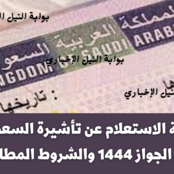 طريقة الاستعلام عن تأشيرة السعودية برقم الجواز 1444 والشروط المطلوبة للحصول على التأشيرة لسفر المملكة