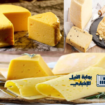 وفر فلوسك .. طريقة عمل الجبنة الرومى في المنزل زي المصانع بأقل التكاليف بطعم لذيذ وشهي
