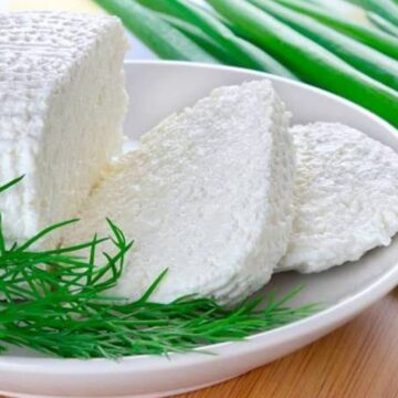 صحية ومفيدة والأفضل لصحتنا….الجبنة القريش بالطريقة والمكونات