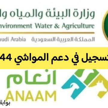 رابط التسجيل في دعم المواشي عبر وزارة الزراعة السعودية 1444 والشروط المطلوبة وطريقة الاستعلام
