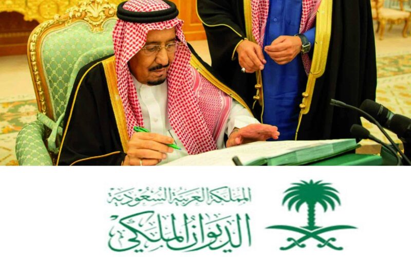 شرح طلب مساعدة في خطوات بسيطة من الديوان الملكي السعودي للمساعدات