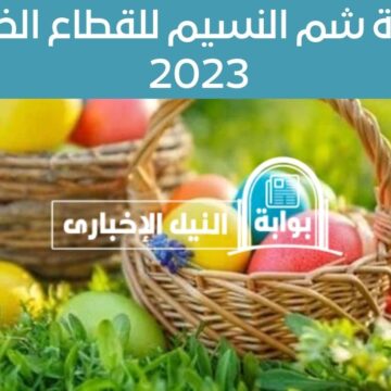 عاجل .. القوى العاملة تُحدد إجازة شم النسيم للقطاع الخاص 2023 بعد آخر قرارات صدرت