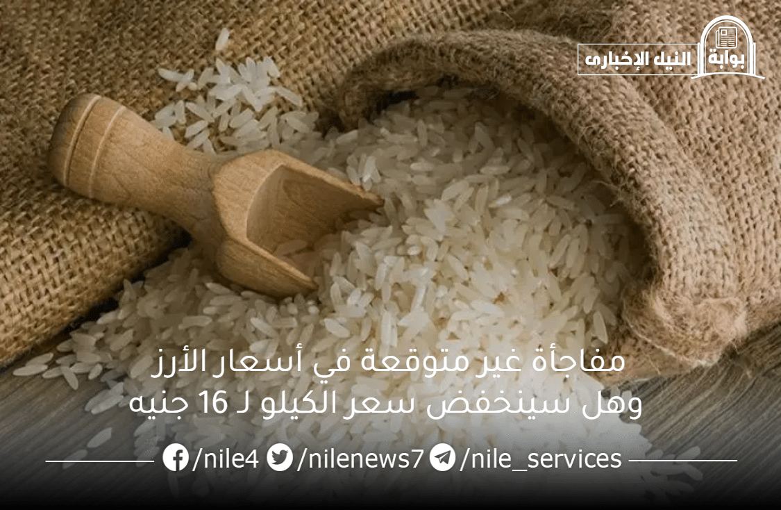 الطن راجع لورا .. مفاجأة غير متوقعة في أسعار الأرز وهل سينخفض سعر الكيلو لـ 16 جنيه