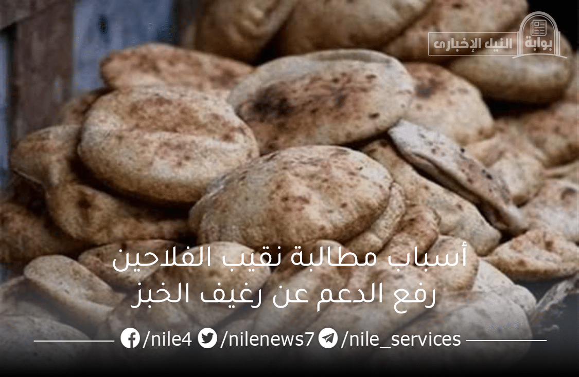 أسباب مطالبة نقيب الفلاحين رفع الدعم عن رغيف الخبز وإعطائه بسعره الحقيقي للمواطنين