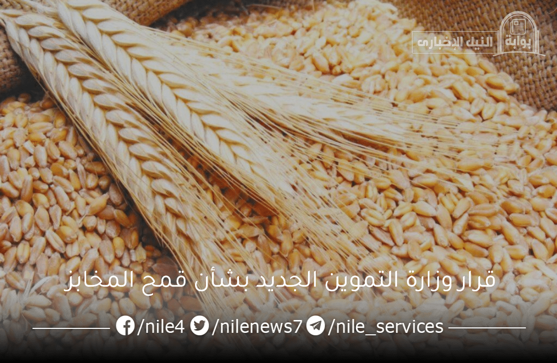 قرار وزارة التموين الجديد بشأن قمح المخابز وسعر رغيف الخبز هل سيتغير ؟
