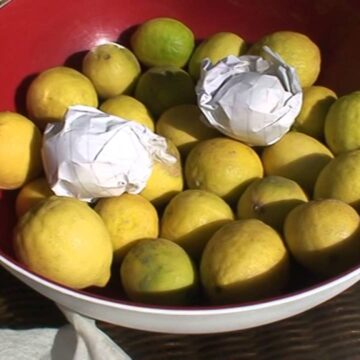 طريقة تخزين الليمون في الفريزر والثلاجة لمدة طويلة وبدون ما يتغير لونها وطعمها