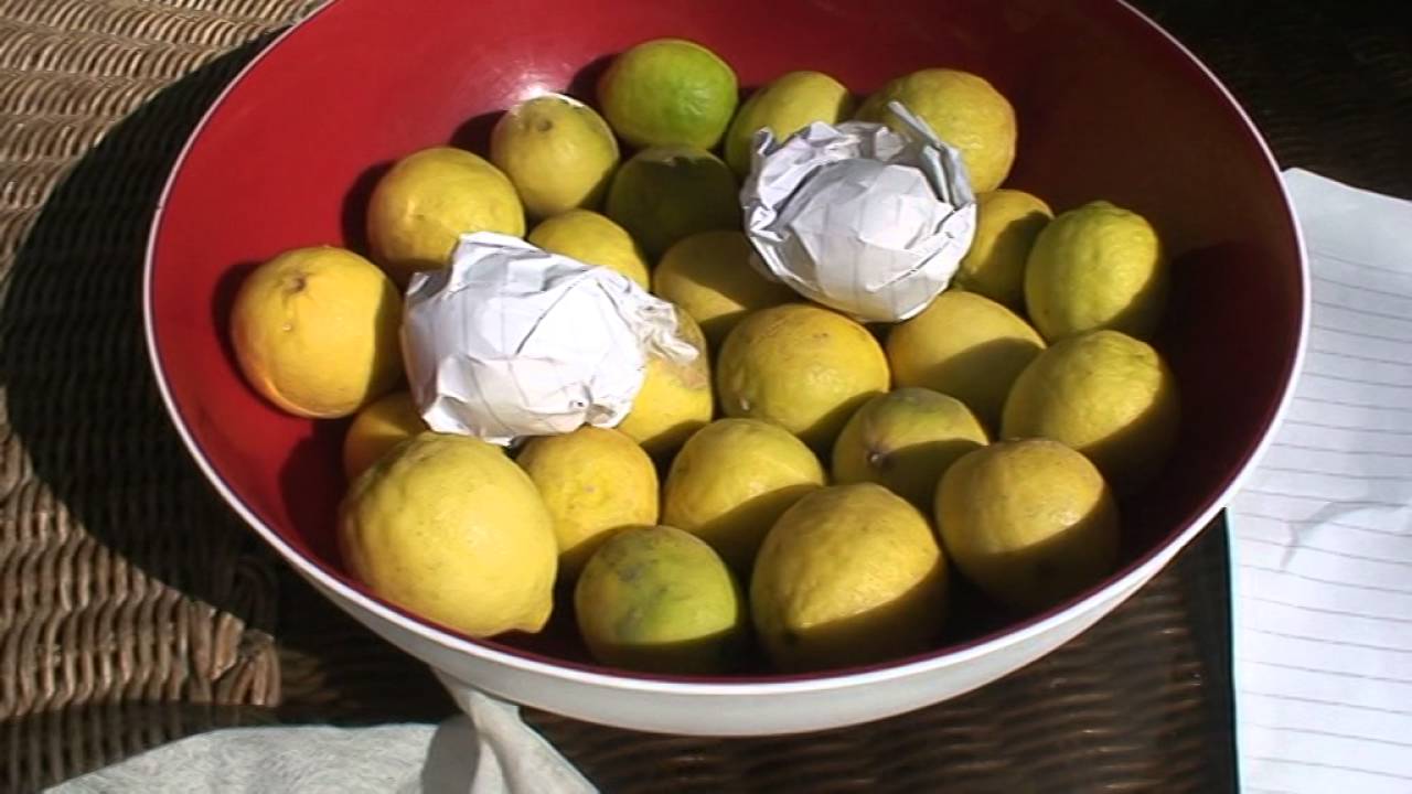 طريقة تخزين الليمون في الفريزر والثلاجة لمدة طويلة وبدون ما يتغير لونها وطعمها