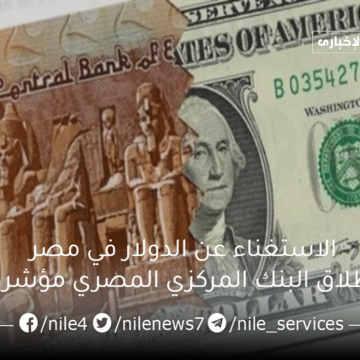 مفاجأة سارة .. الاستغناء عن الدولار في مصر بعد إطلاق البنك المركزي المصري مؤشر الجنيه