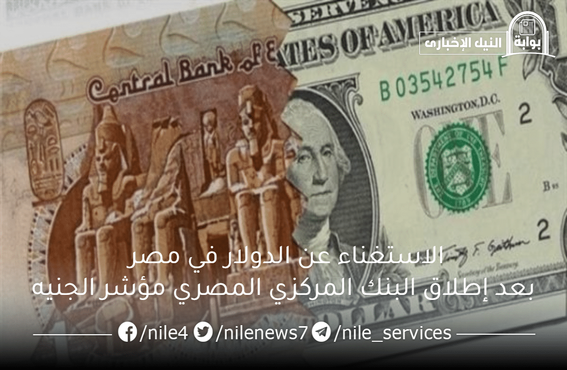 مفاجأة سارة .. الاستغناء عن الدولار في مصر بعد إطلاق البنك المركزي المصري مؤشر الجنيه