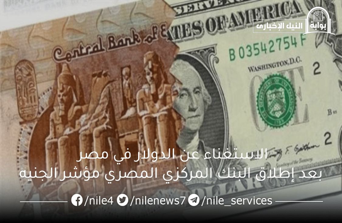 الاستغناء عن الدولار في مصر بعد إطلاق البنك المركزي المصري مؤشر الجنيه