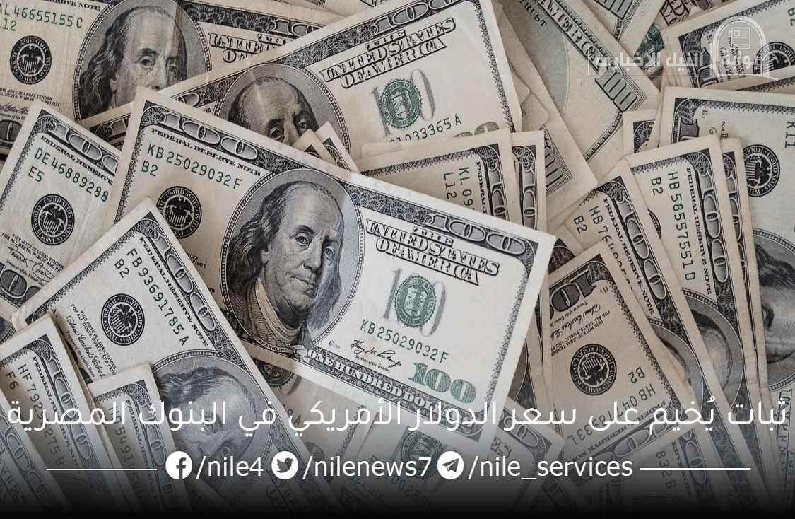 ثبات يُخيم على سعر الدولار الأمريكي في البنوك المصرية وتحركات العملة الخضراء عالمياً