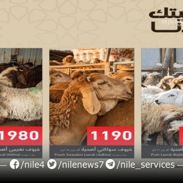 أسعار أضاحي عيد الأضحى من بنده السعودية مع خدمات غير مسبوقة بخصومات كبرى